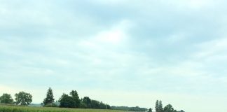 LLWS: On the road back to Williamsport, PA