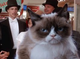 TRAILER: “Grumpy Cat’s Worst Christmas Ever” is happening