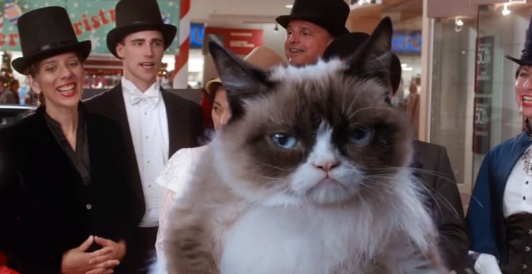TRAILER: “Grumpy Cat’s Worst Christmas Ever” is happening