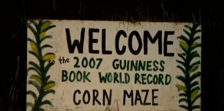 Visitors stuck in World’s Largest Corn Maze call 911 for help