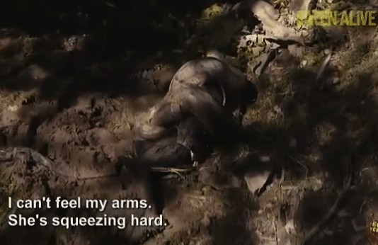Funniest reactions to EATEN ALIVE Discovery Channel special