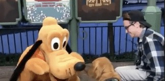 Watch the moment a service dog meets Pluto at Disney World