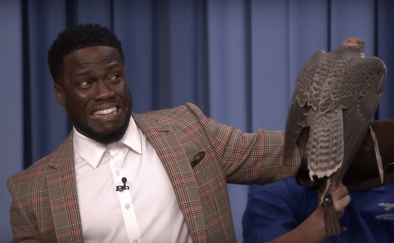 Kevin Hart is terrified of Robert Irwin’s animals on The Tonight Show