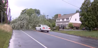 TV crew filming as driver crashes car into downed tree