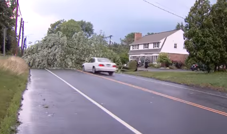 TV crew filming as driver crashes car into downed tree