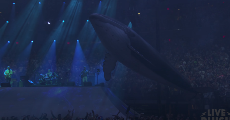 Phish whale and dolphin drones turn Madison Square Garden into an aquarium